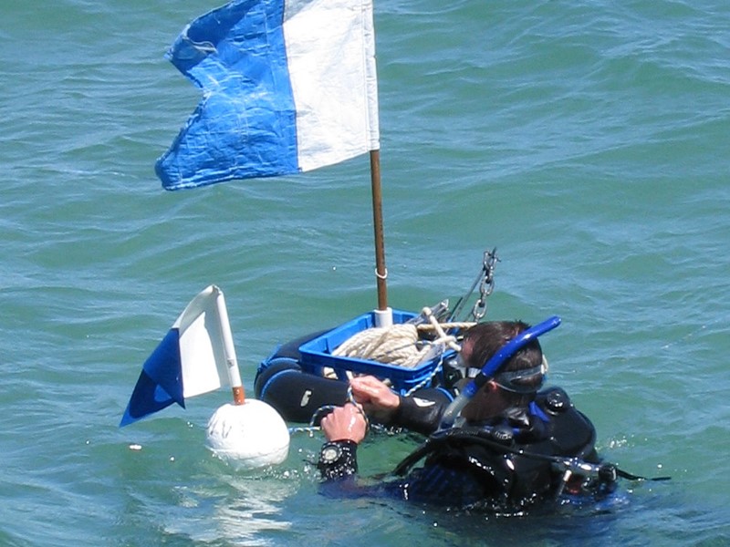 Diver Down Buoy Float and Flag - The Diving Center