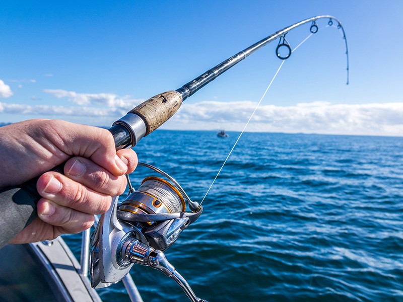 How to catch fish using softbaits